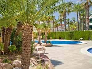 Plant, Property, Azure, Tree, Sky, Arecales, Terrestrial Plant, Real Estate, Landscape, Leisure