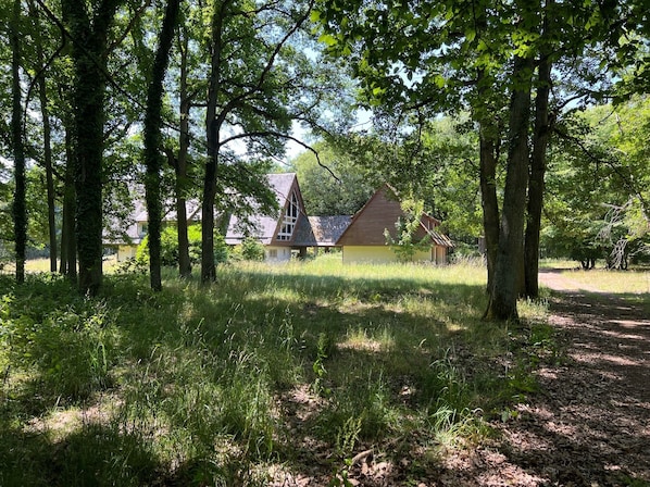 Boendeområde