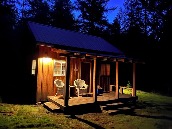 Our Cabin in the Woods at night