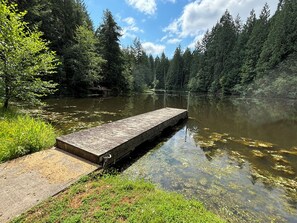 Dock and view of the pond