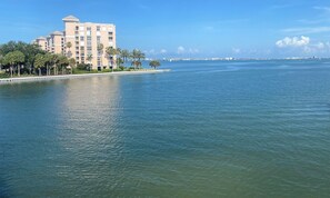 East side of our building surrounded by water