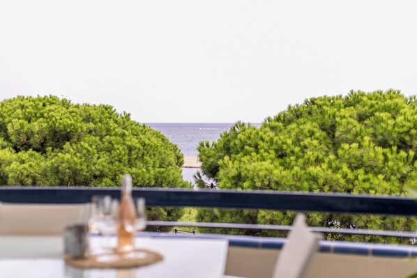 Sea view from the terrace
