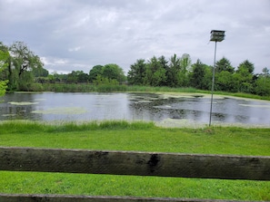 Pond View from master bedroom