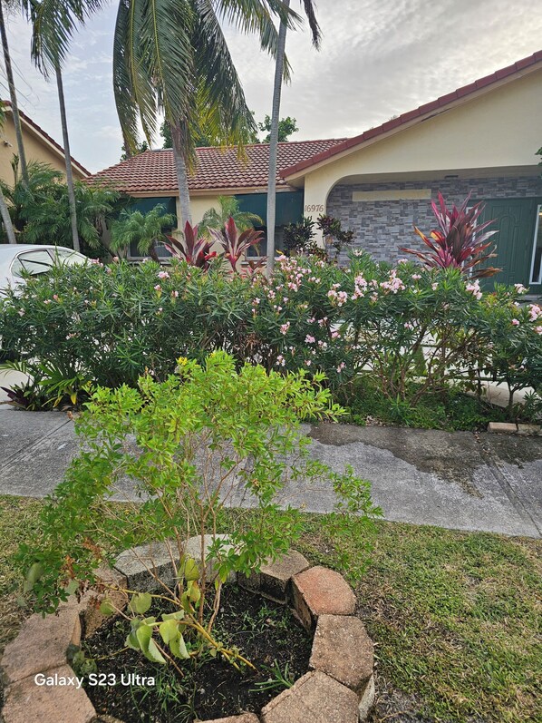 front yard