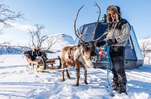 Wintersport/Ski