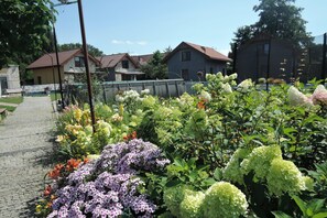 Garden [summer]