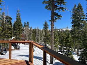 Forest views around the deck.