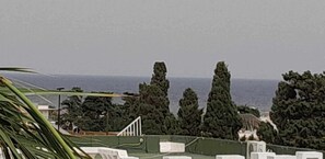 施設の敷地