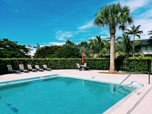 Communal Pool, open from Sunset to Sundown. Equipped with dining area and plenty of Lounge chairs.