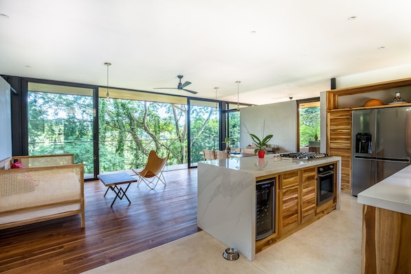 Open area kitchen/living room