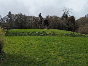Boendeområde
