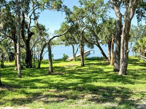 View of the back yard