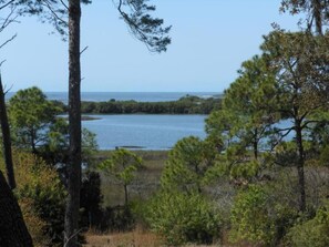 View from the deck