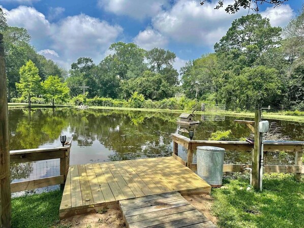 Tranquil pond framed by soothing, leafy trees