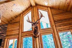 Bull Elk Mount