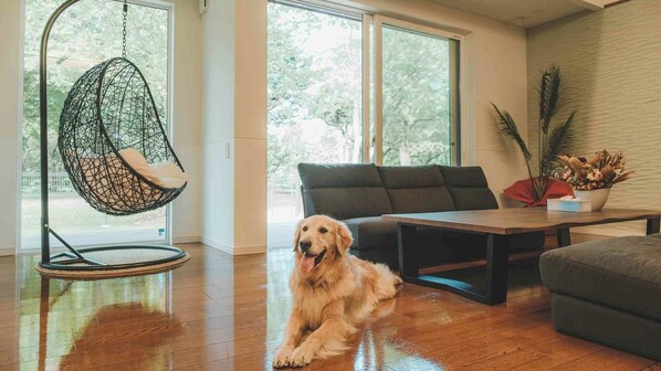 living room