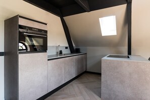 Kitchen space with combo oven/microwave, sink, and induction cooking plate