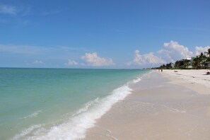 BonBay1 - The Bonita Bay shuttle bus brings you to the Bonita Bay Beach Club