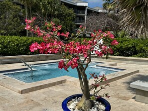 Outside Hot Tub