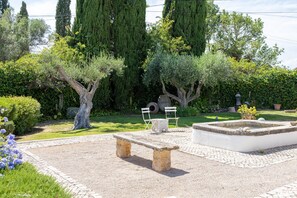 Peaceful garden with fountain and olive trees