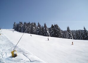 Snow and ski sports