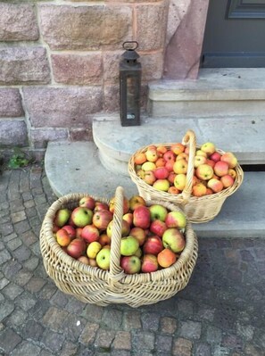 Spiseområde