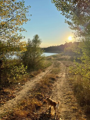 Boendeområde