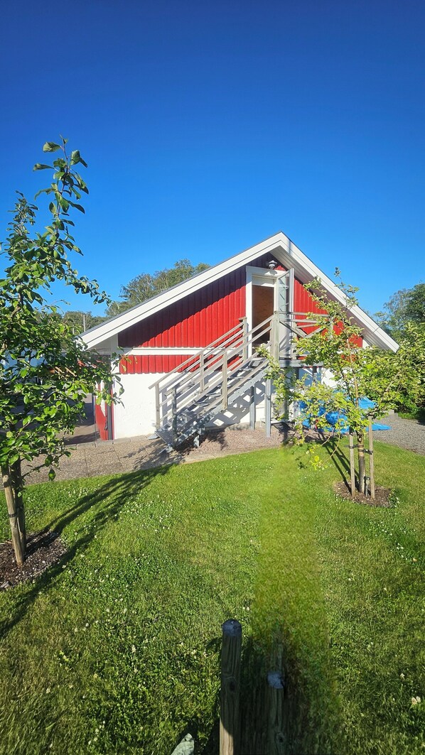 Exteriör