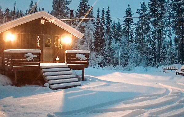 Exteriör