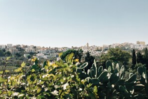 Breathtaking view overlooking the picturesque village of Gagliano del Capo.
