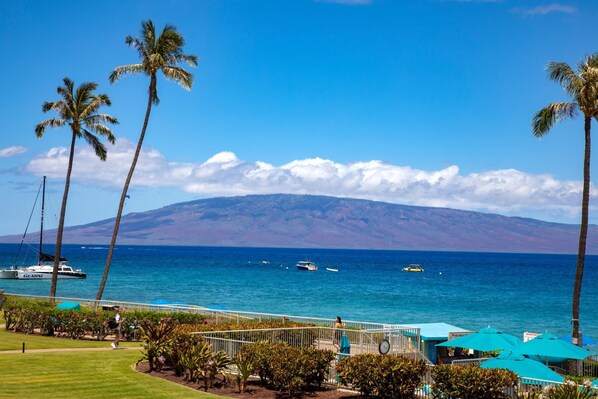 Bright skies, sapphire seas, and towering palms?this is the kind of view that resets your spirit instantly    WH1-211