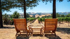 Vineyard View