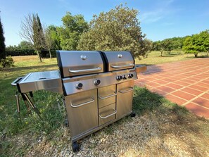 Hostal Nou de Crespià - Gran barbacoa de gas (2)