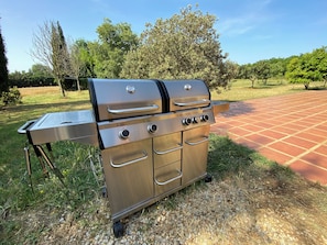 Hostal Nou de CrespiĂ - Gran barbacoa de gas (2)