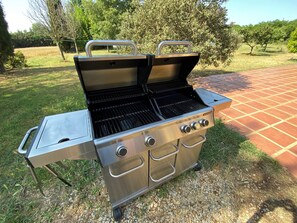 Hostal Nou de Crespià - Gran barbacoa de gas (1)