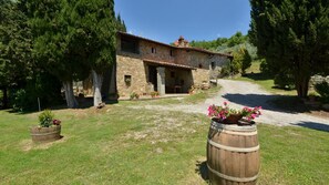 Plant, Sky, Building, Flowerpot, Window, Tree, Land Lot, Grass, House, Barrel