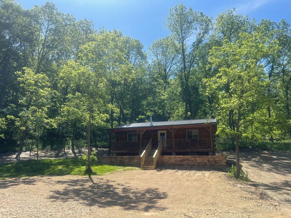 IMG 0542