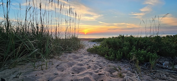 Strand