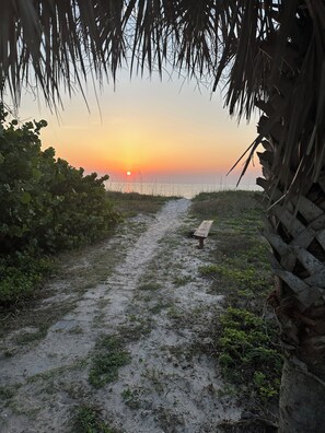 Walkway to the Beach
