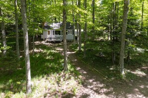 Our cozy cabin is perfectly situated amid a grove of tall, lush trees, offering a serene and picturesque retreat.