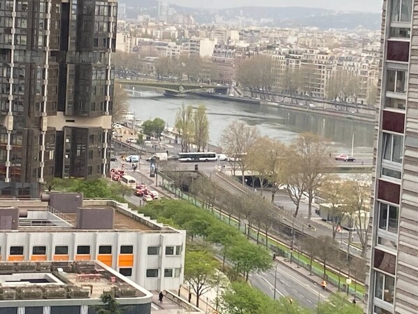 Superb view of the Seine