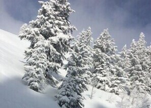 powder skiing without crowds