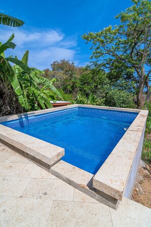 Beautiful Pool/ Patio with ocean view plus refrigerator, sink, gas grill and shower! PLEASE NO GLASS AT THE POOL