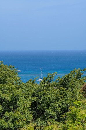 View From the Private Balcony