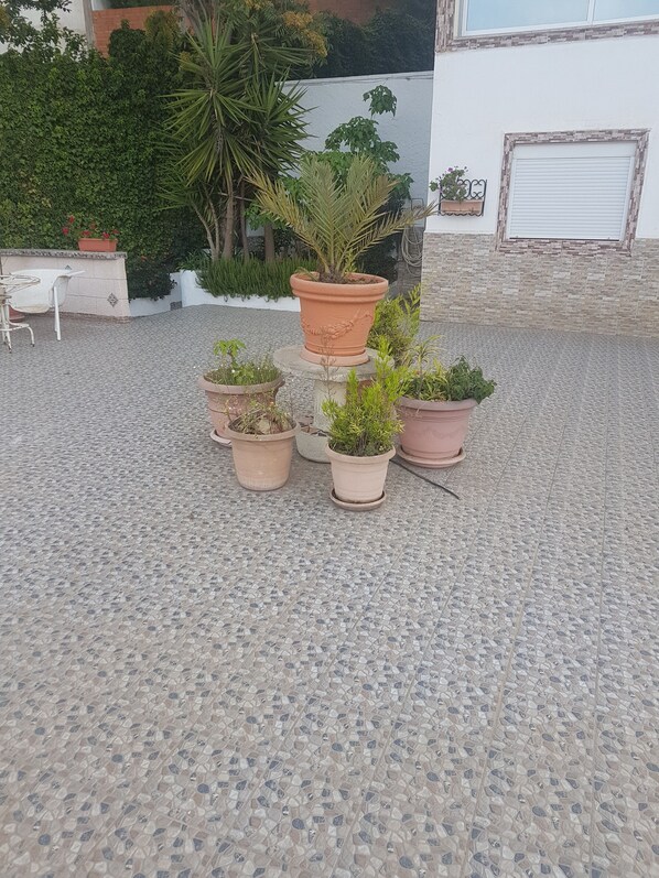 Terrass/Patio
