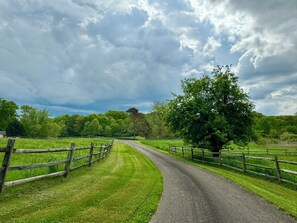 Driveway leading to house. House is 1/4 mile from road