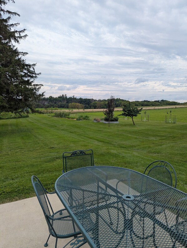 The view from the patio off the dining area.