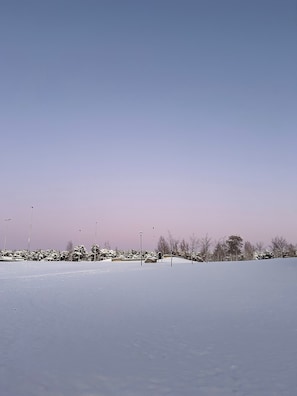 Sledging