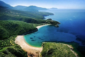 Strand