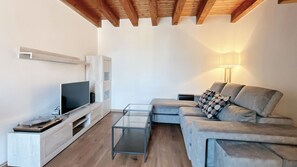 Comfortable living room with sofa and TV